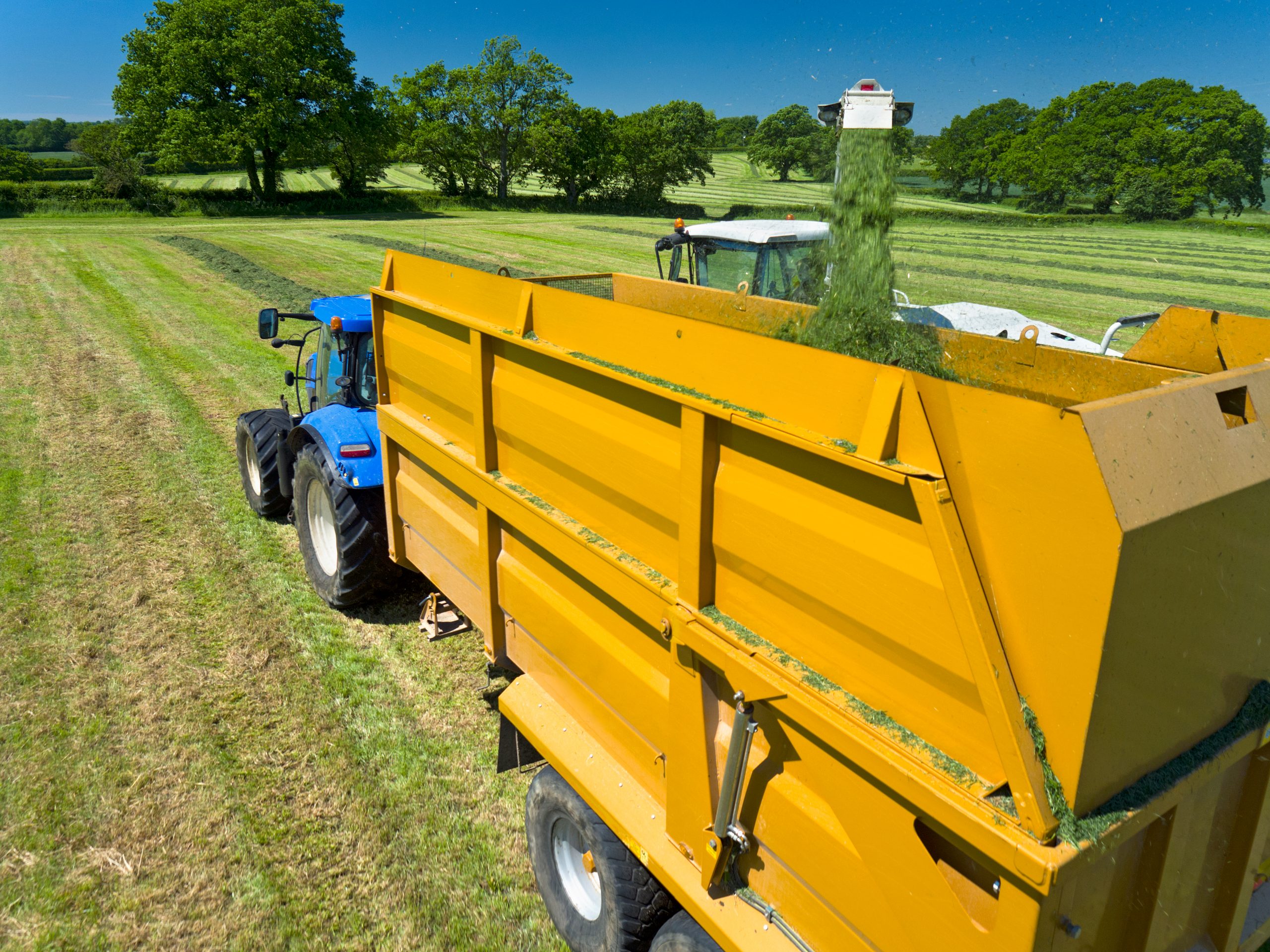 harvesting hay in rolling green fields on sunny da 2026 03 26 08 22 19 utc